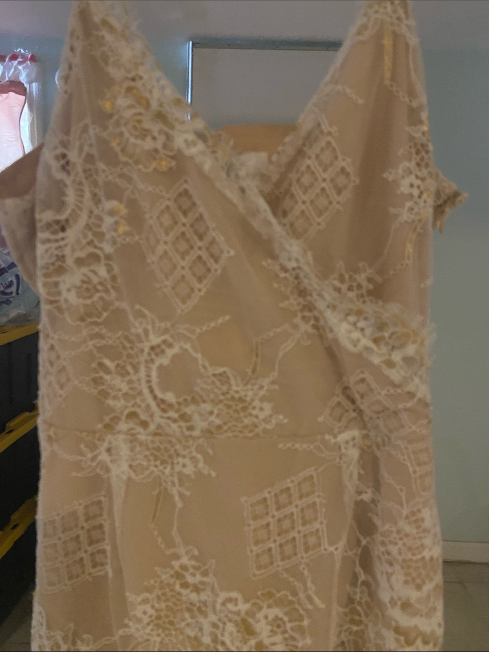 Lace Overlay V-Neck Women's Dress in Beige. Size Medium
